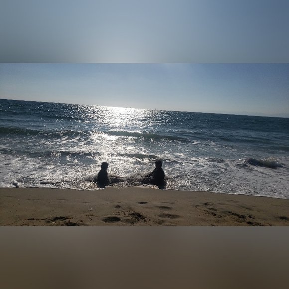 🌹Meet the Posher🌹 - Picture 2 of 2